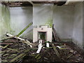 H5355 : Ruined farmhouse, Latbeg (interior -2) by Kenneth  Allen