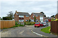 Houses on Fir Tree Close