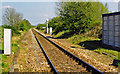 North from site of Littleton & Badsey station, 1998