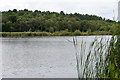 Hatch Mere, near Delamere