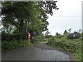 An overgrown phone box at Thorndon Cross 