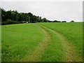 Farm track to Spring Copse