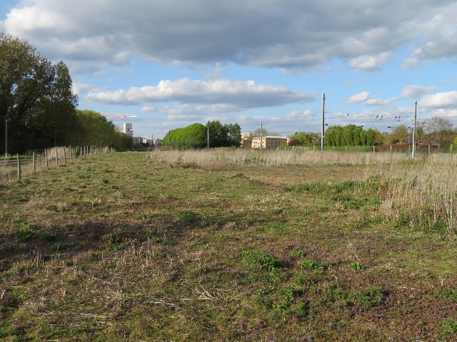 Rough land by the railway