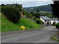 Yellow amid green, Church Road, Gilwern