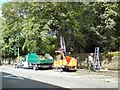 Tree surgeons on Knott Lane