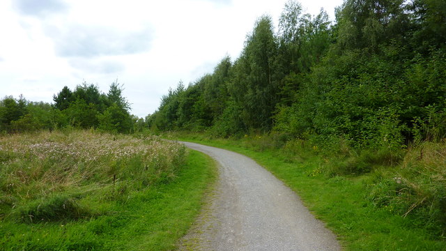 Footpath on North Side of Sutton Manor Woodland
