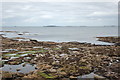 NU2132 : Rocky foreshore at Seahouses by Bill Harrison