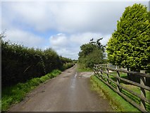 SX5396 : Road passing Cruft Gate by David Smith