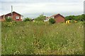 Grassland by Heligan Drive, Paignton