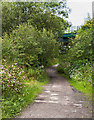 Landican Lane passes under the railway