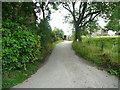 Todmanshaw Lane at Cow Bridge End, Wigglesworth