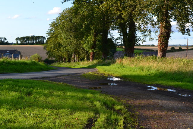 Bend in the lane at Ladykirk