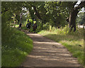 A cyclist overtakes the horseriders