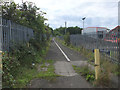 Path from Ravenhead Road to Alexandra Colliery