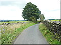 Tod Holes Lane at Small Gill,Wigglesworth