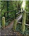 Footbridge across the Lubbesthorpe Brook