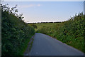 West Dorset : Country Lane