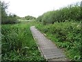 Walkway - Winnall Moors Nature Reserve