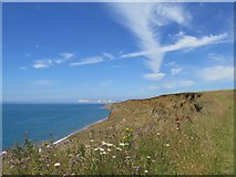 SZ4678 : Coastal erosion near Whale Chine, Isle of Wight by Paul Coueslant