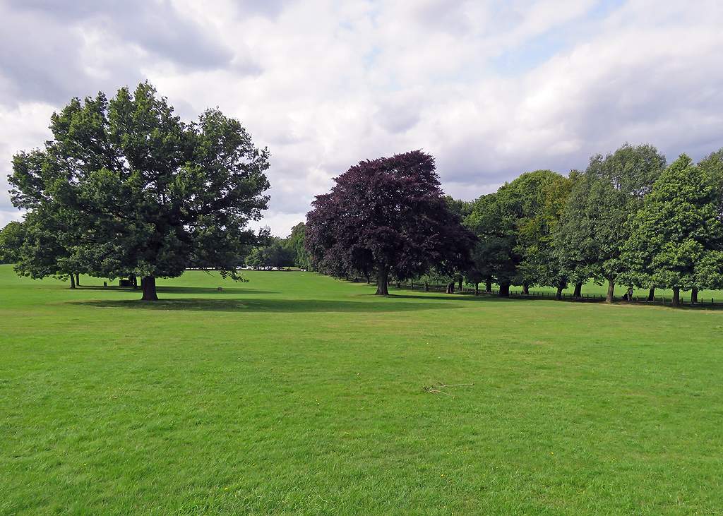 Wollaton Park: fine trees © John Sutton cc-by-sa/2.0 :: Geograph ...