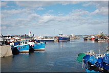 NU2232 : Seahouses inner harbour by Bill Harrison