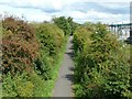 Site of Stafford Common Station