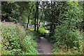 Calderdale Way approaching New Bridge, Midgehole