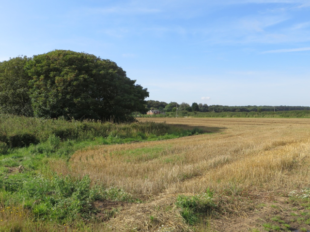 Fields north of Grimston © Paul Harrop cc-by-sa/2.0 :: Geograph Britain ...