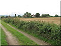 Track and houses near Manor Farm Sydenham