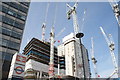 View of the Whitehouse building site from York Road