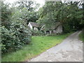 Derelict building, Mill Lane, Ystrad Mynach