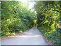 Looking down Paynesfield Road from Ricketts Hill Road