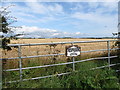 Grain field on the north side of the Port Kelly Road at Ballyquintin