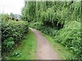 Footpath by Cove Brook