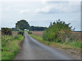 Lane towards Crowmarsh Gifford