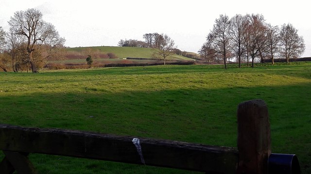 Jesters Hill from Shutford