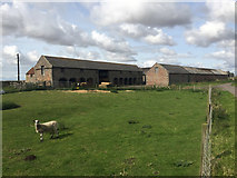NU0545 : Farm buildings at Goswick by John Allan