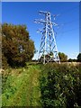 Pylon, Rimrose Valley Country Park