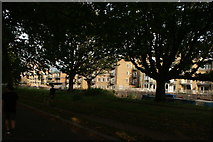 TQ3683 : View of apartments on the Hertford Union Canal from Victoria Park #2 by Robert Lamb