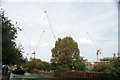 View of a plethora of cranes in Fish Island from the Hertford Union Canal towpath #2