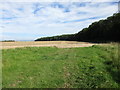 Plantation and potato field above Ganton