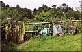 Allotments on Collins Road, Totnes