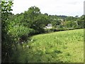 Castle Meadow, Totnes