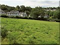 Castle Meadow, Totnes