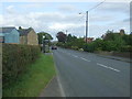 Bus stop and shelter on High West Road, Middle Mown Meadows