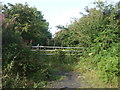 Old track (footpath) off the A689, Toronto