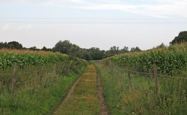 Farm Track through Arable Land, Ellingham