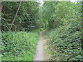 Cycle Route and Footpath, Ellingham