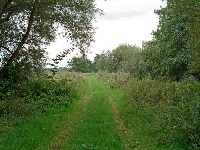 Farm Track near Osier Carr, Ellingham