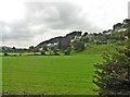 Fields, south of Llandeilo